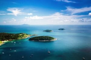 mice thailand case study