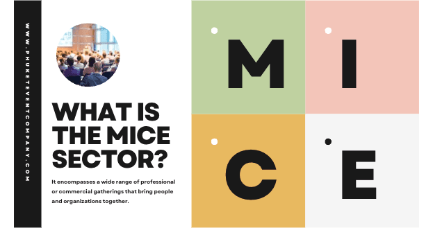 What is the MICE Sector